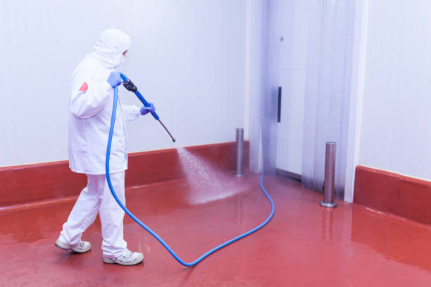 Best House Exterior Washing  in Roosevelt, NJ
