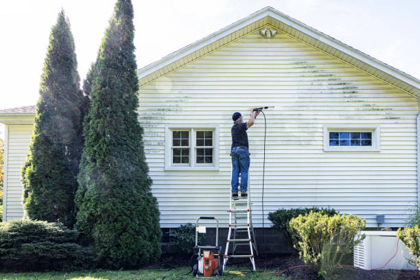 Best Driveway Pressure Washing  in Roosevelt, NJ